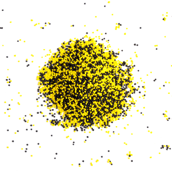 Yellow & black nonpareils